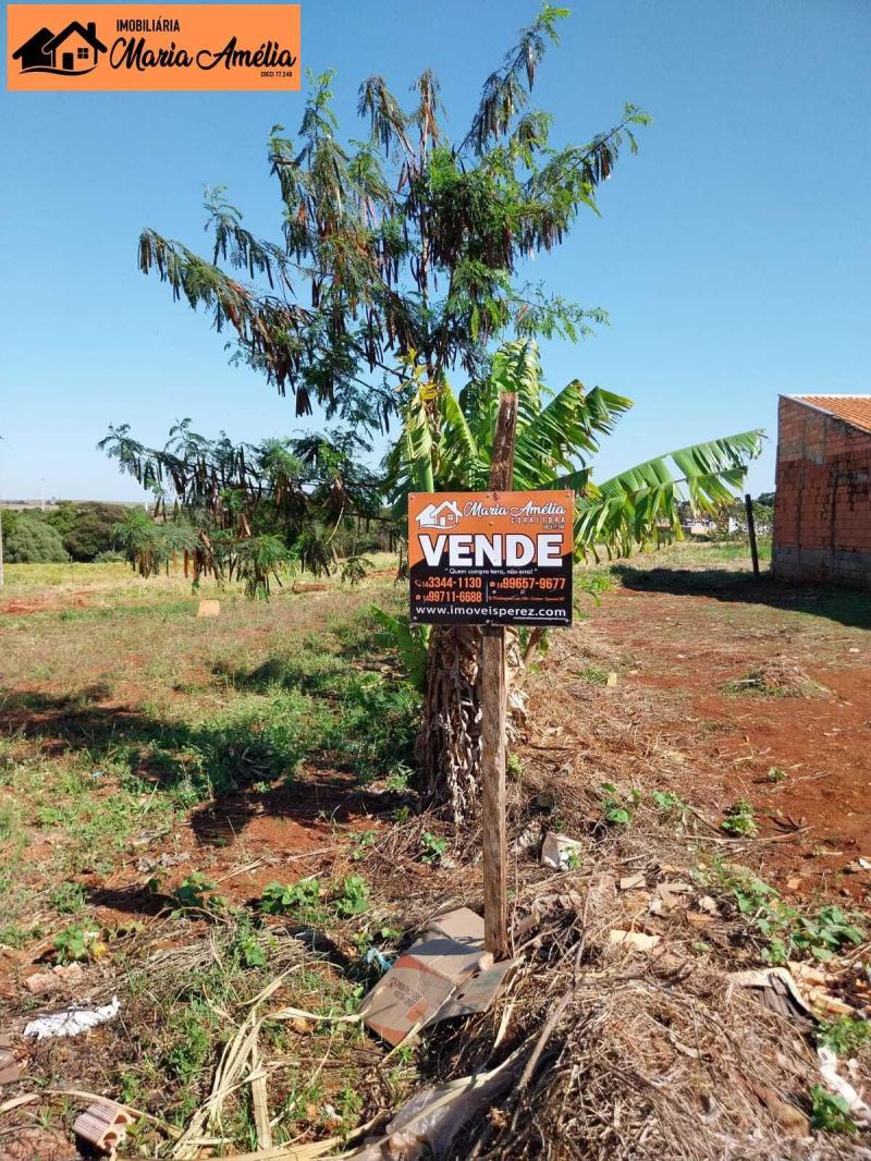 Terreno para Venda em Ipaussu-SP